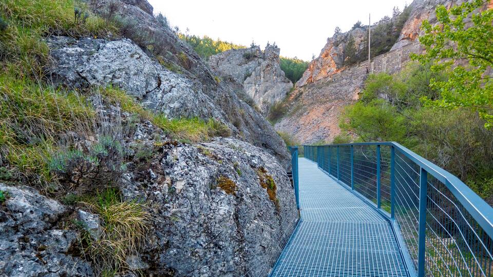 A blue metal bridge over a rocky gorge with greenery on the sides.