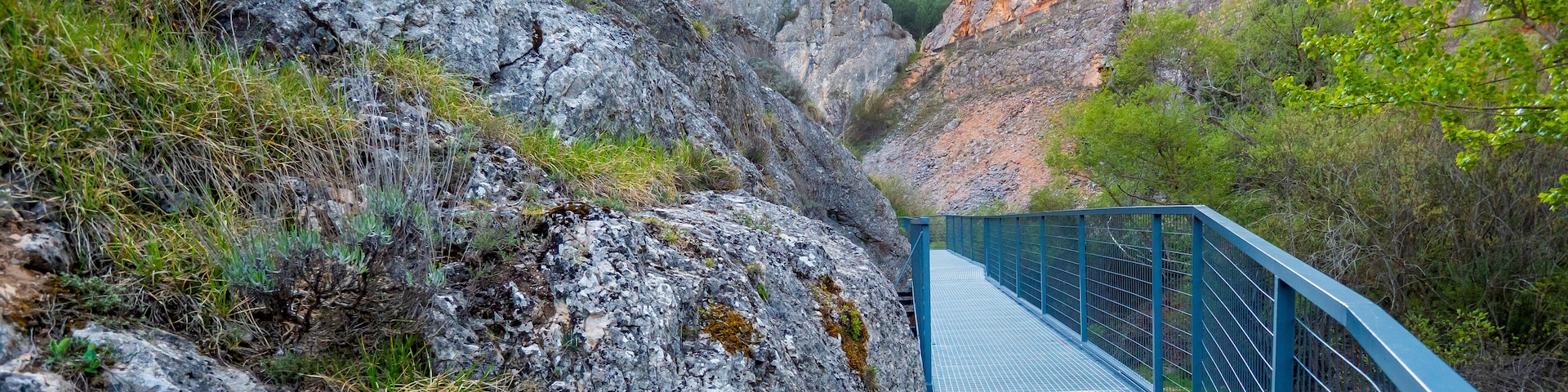 Uma ponte de metal azul sobre um desfiladeiro rochoso, com vegetação nas laterais.