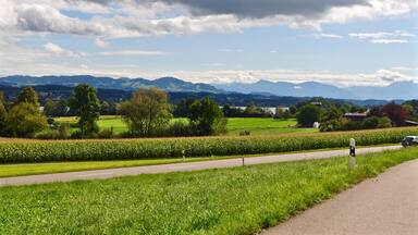 A rural landscape with a road, green fields, trees, and distant mountains under a partly cloudy sky.