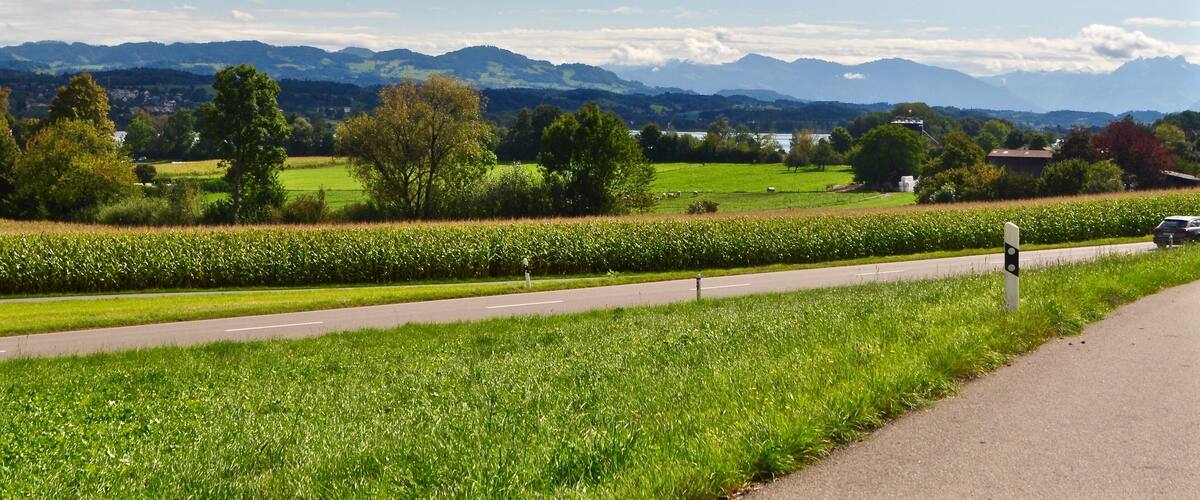 A rural landscape with a road, green fields, trees, and distant mountains under a partly cloudy sky.