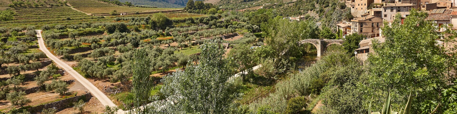 Paisaje rural con olivares, un camino sinuoso y un pueblo con arquitectura tradicional.