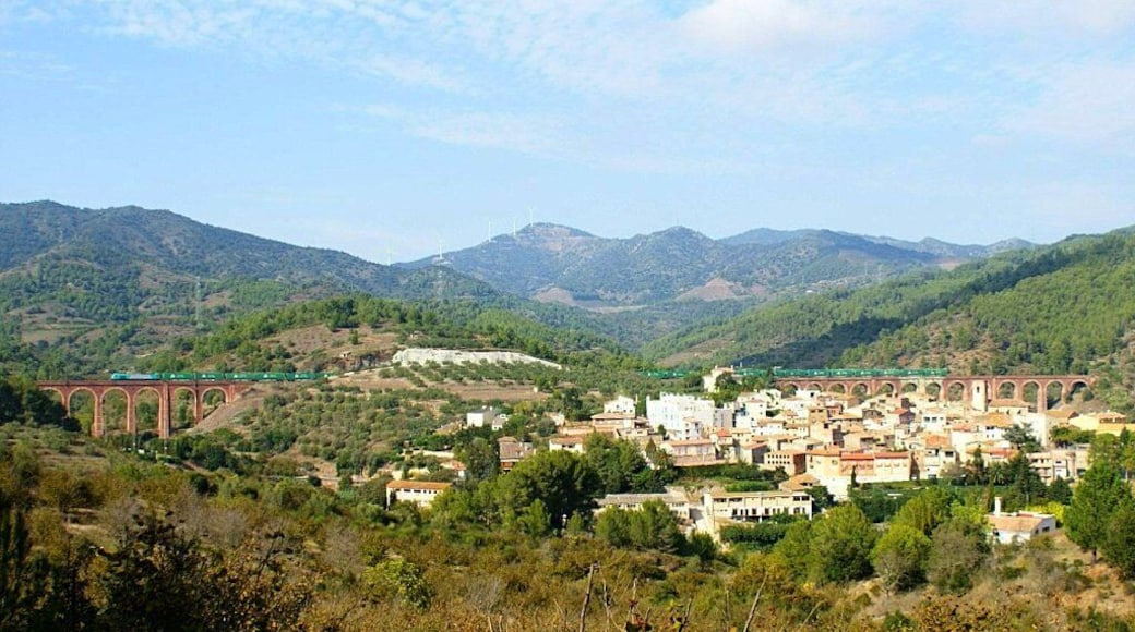Jornada rodona com cap altre, amb quasi un ple al 15, on vam tenir les circulacions esperades mes alguna que altra sorpresa. A la foto, una 335 de ECR (sense identificar) remolca el TECO Tarragona-ClassificaciĂł -> Madrid-Abroñigal al seu pas per la poblaciĂł de DuesaigĂŒes. Jornada redonda donde las haya, con casi un pleno al 15, donde tuvimos las circulaciones esperadas mas alguna que otra sorpresa. En la foto, una 335 de ECR (sin identificar) remolca el TECO Tarragona-ClasificaciĂłn -> Madrid-Abroñigal a su paso por la poblaciĂłn de DuesaigĂŒes.