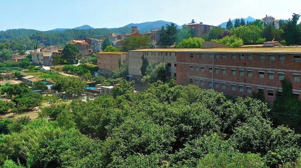DuesaigĂŒes des del Viaducte