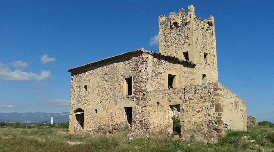 Mas de Don Felip, a Riudoms