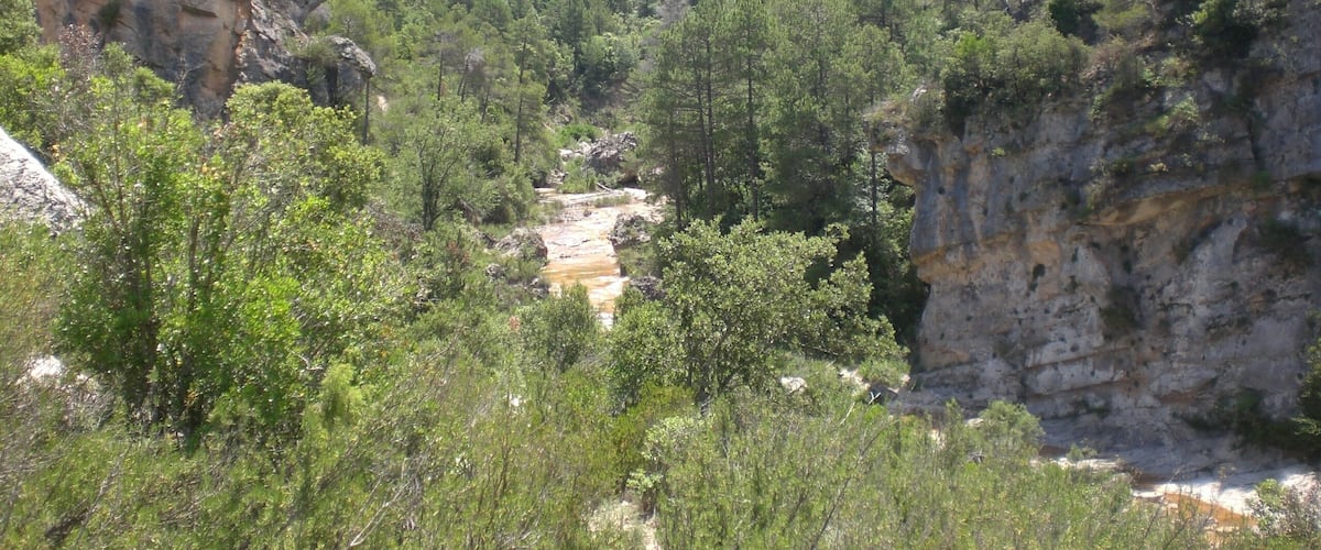 Riu de Siurana (juny 2012)