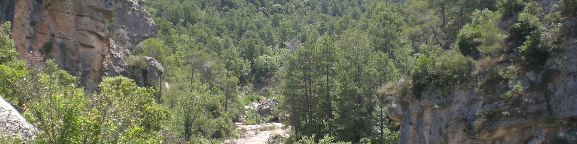 Riu de Siurana (juny 2012)