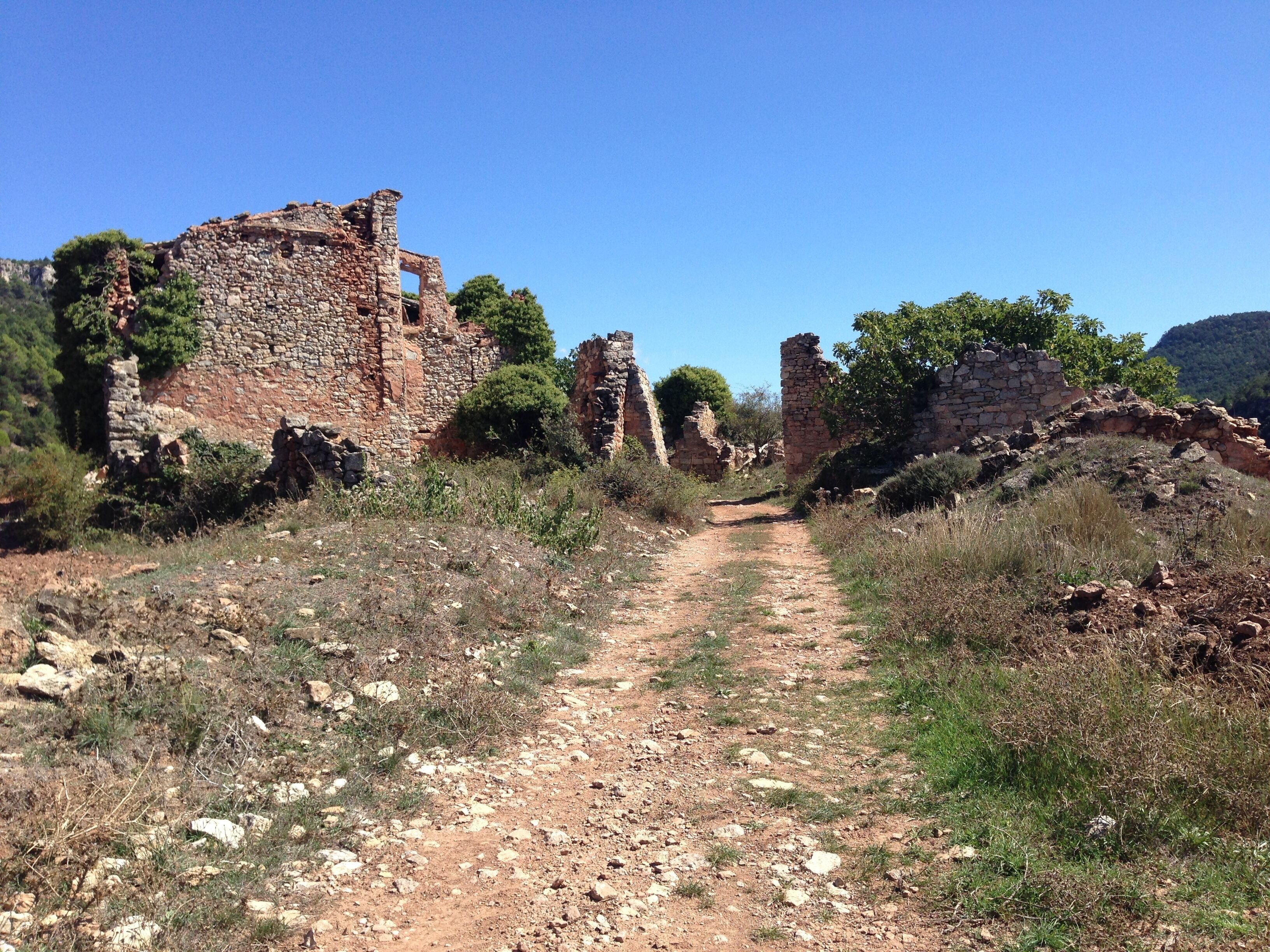 An ancient stone pathway leading through ruins with overgrown vegetation.