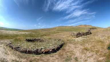 Es un asentamiento fortificado en la parte superior de una pequeña colina en el valle de Matachel, provincia de Badajoz. Estuvo habitado entre el siglo II a.C. y finales del siglo I d.C. La imagen pertenece a la zona de la necrópolis, con varias estructuras de planta de forma variables alrededor de las cuales se enterraban las cenizas de los difuntos.