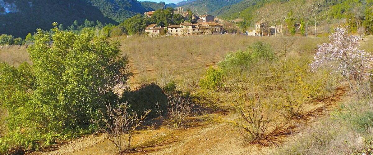 A rural landscape with a dirt path, green vegetation, and traditional stone buildings in the distance.