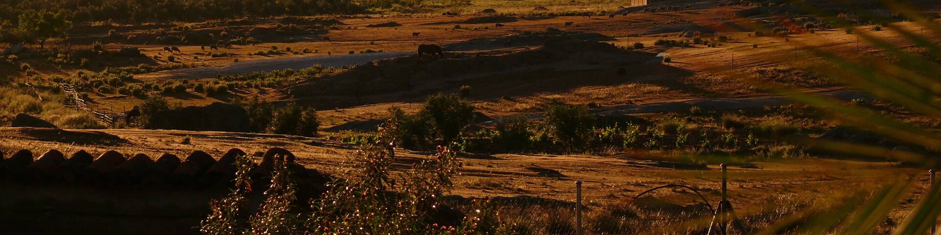 This is a photography of a Site of Community Importance in Spain with the ID: