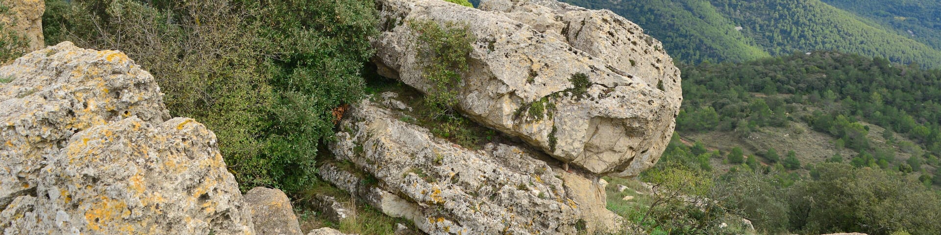 L'Albiol, 43479, Tarragona, Spain