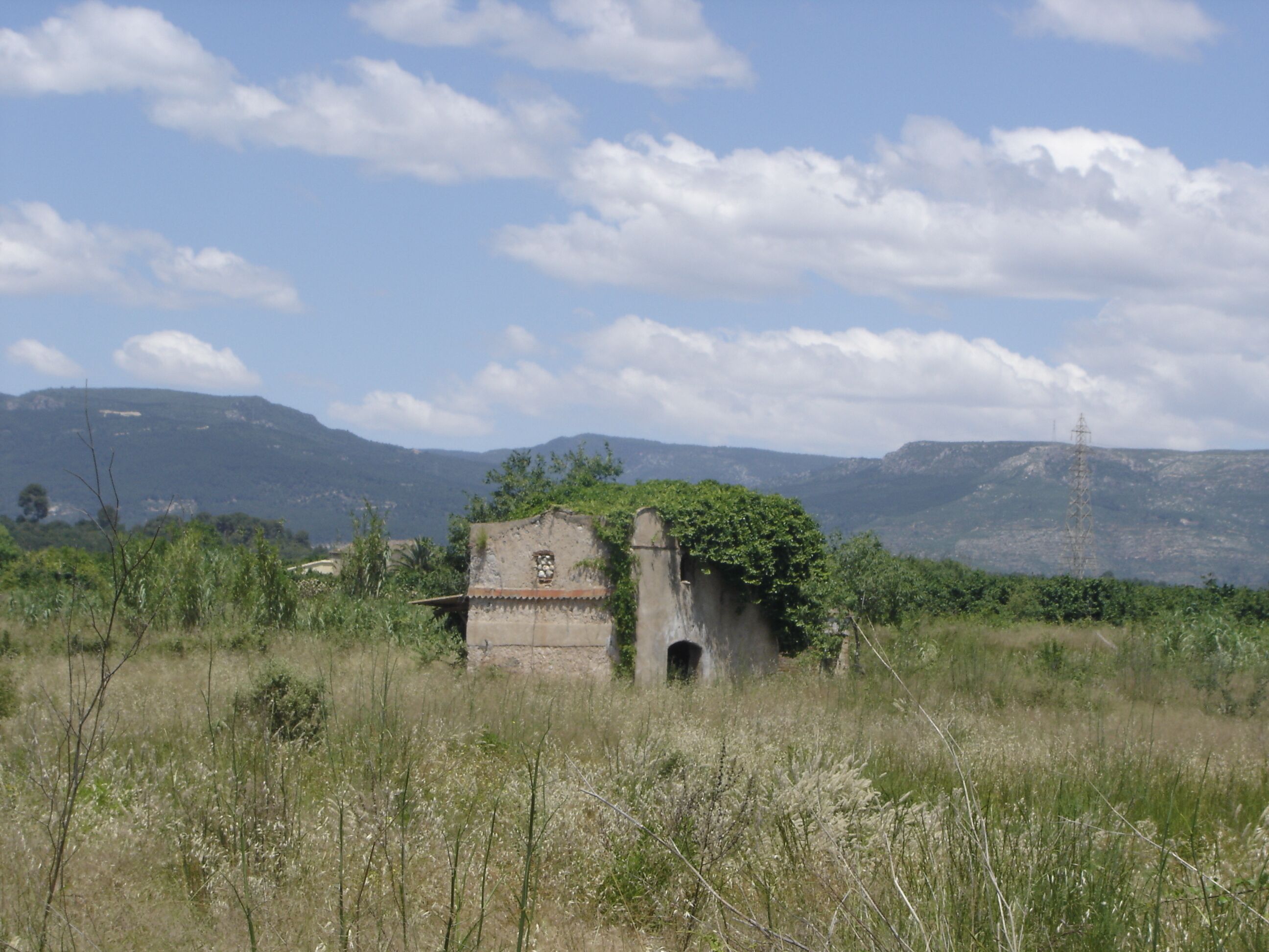 A rural landscape with a dilapidated stone structure surrounded by tall grass and wildflowers, set against a backdrop of mountains and a clear sky.
