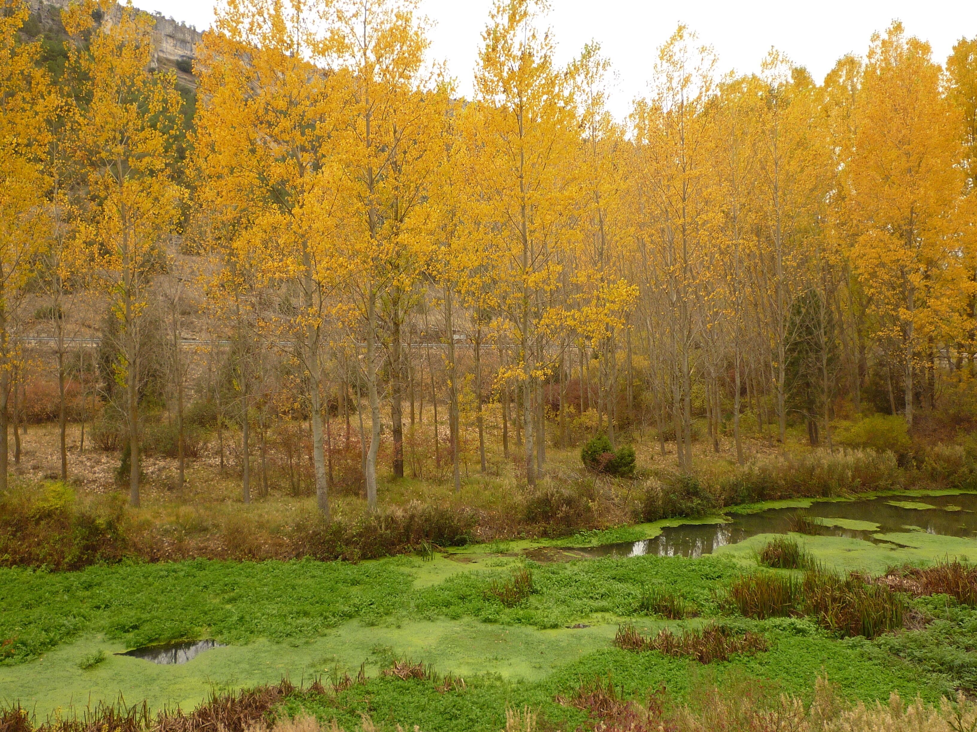 Ucero, 42317, Soria, Spain