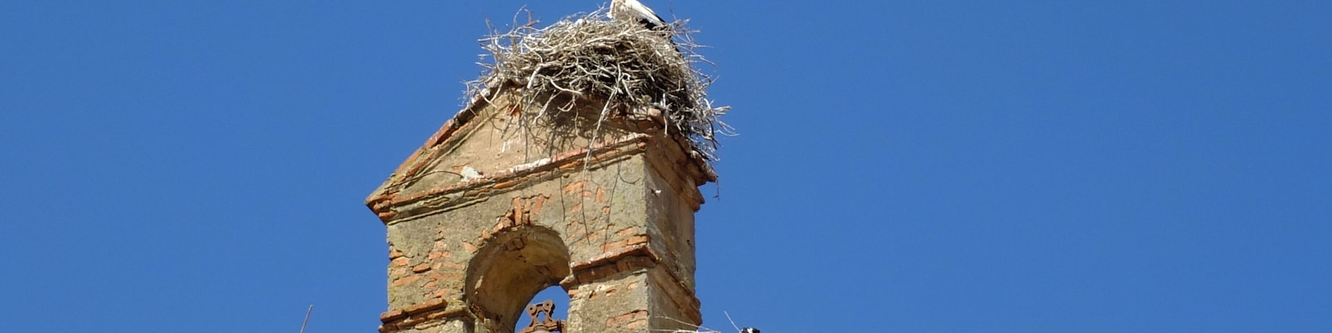 Historic church in Orellana la Vieja, Extremadura - Spain