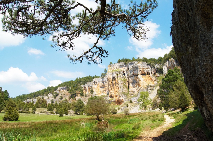 Cañon