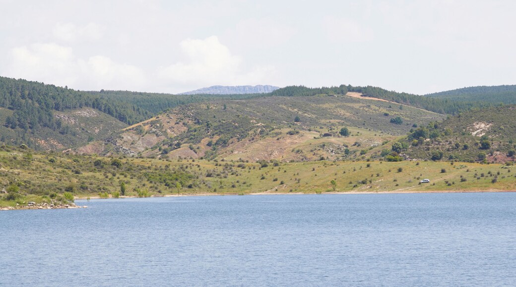 PĂĄlmaces - Pantano