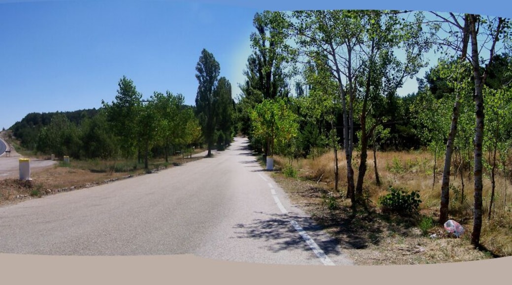 Panorámica desde Carbonera de Frentes