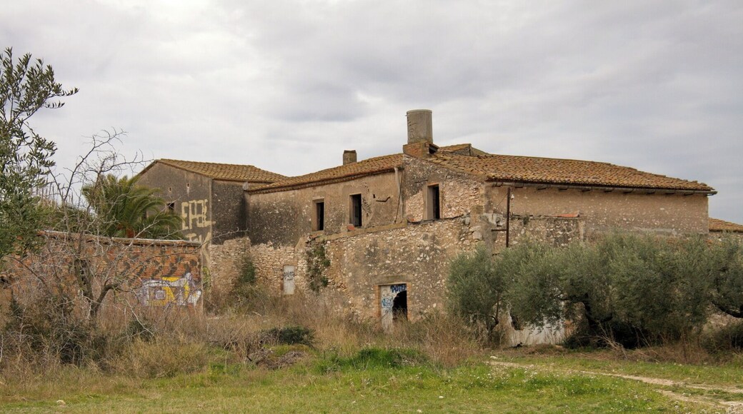 Mas Blanquet (Perafort)