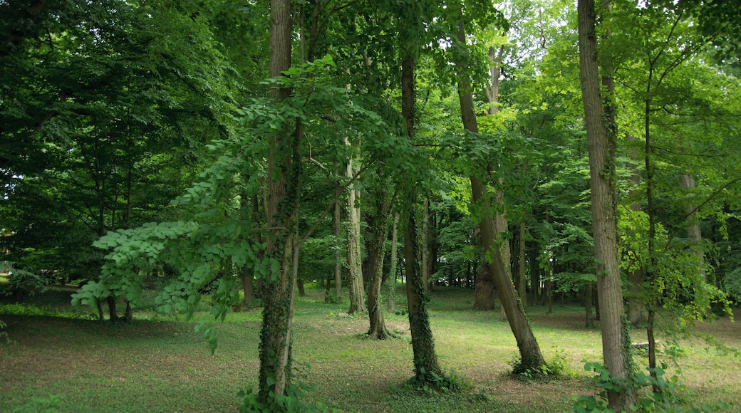Gräben, Ortsteil Dahlen in Brandenburg.