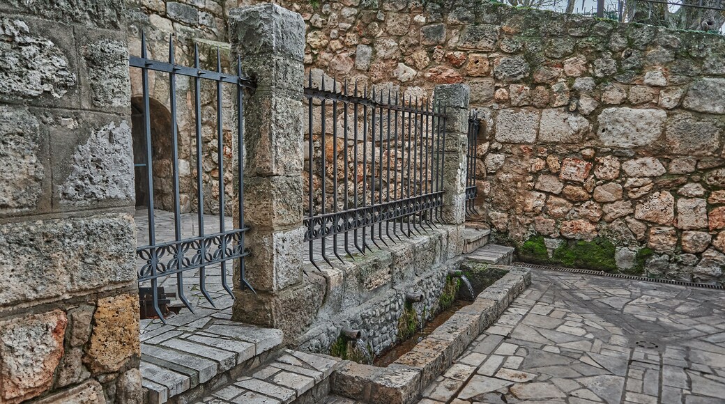 Natural spring water, where fresh and pure water comes from. Concept: nature, purification, freshness. San Juan Fountain. Jewel of Visigoth art. Declared of Cultural Interest in Baños de Cerrato, Palencia, Spain