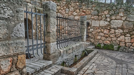 Natural spring water, where fresh and pure water comes from. Concept: nature, purification, freshness. San Juan Fountain. Jewel of Visigoth art. Declared of Cultural Interest in Baños de Cerrato, Palencia, Spain