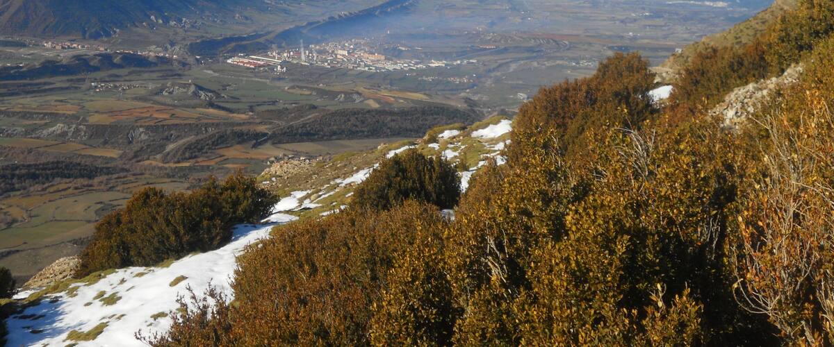 Sabiñanigo desde Santa Orosia , Yebra de Basa .