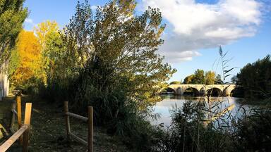 #greatoutdoors #autumn #colours #palencia #spain #lifeatexpedia #medievalbridge #river