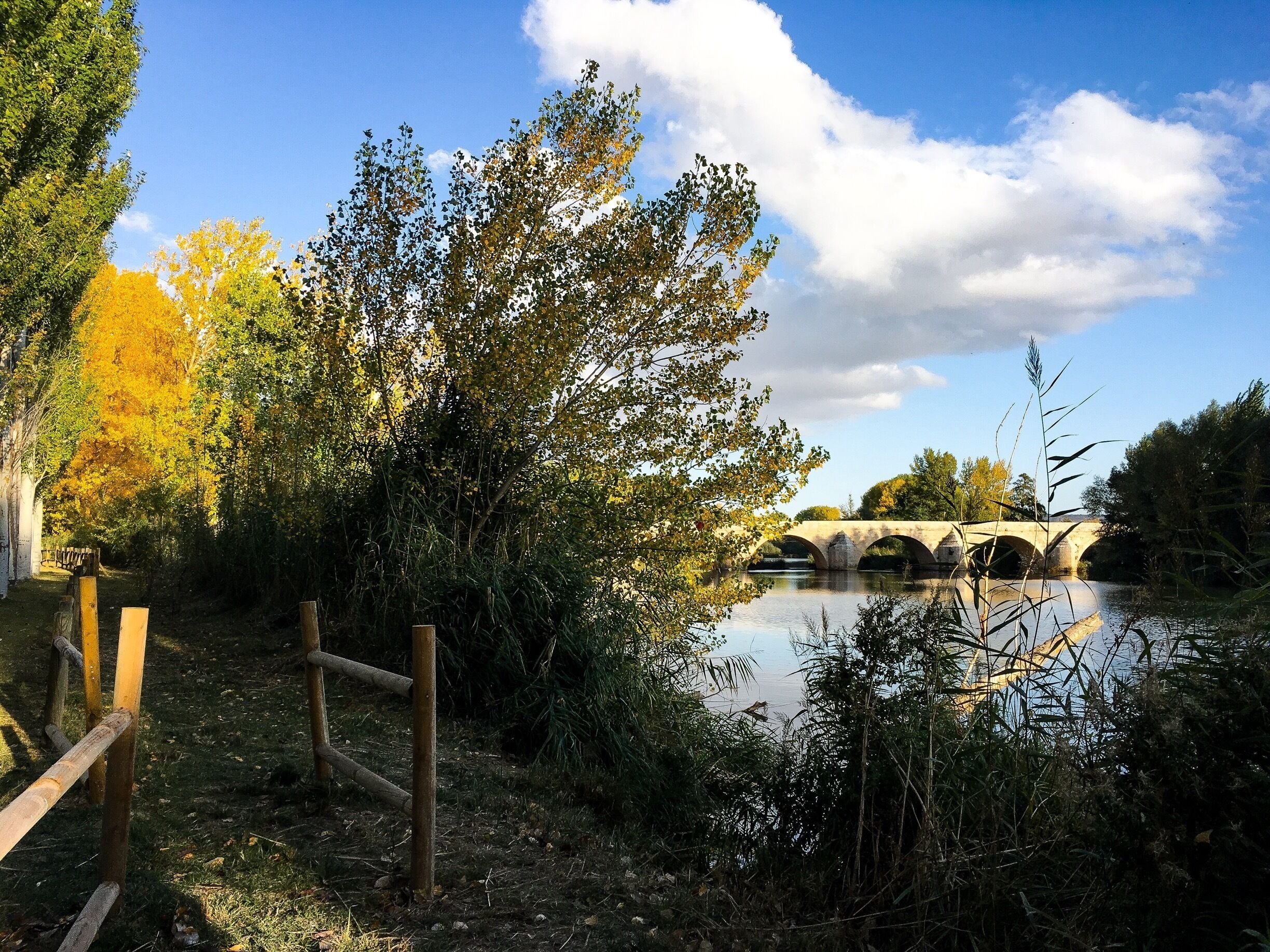 A stone bridge over a calm river, surrounded by autumn foliage and a wooden fence.