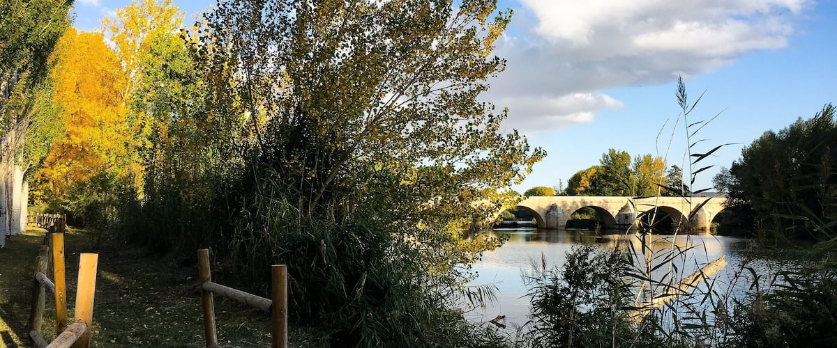 A stone bridge over a calm river, surrounded by autumn foliage and a wooden fence.