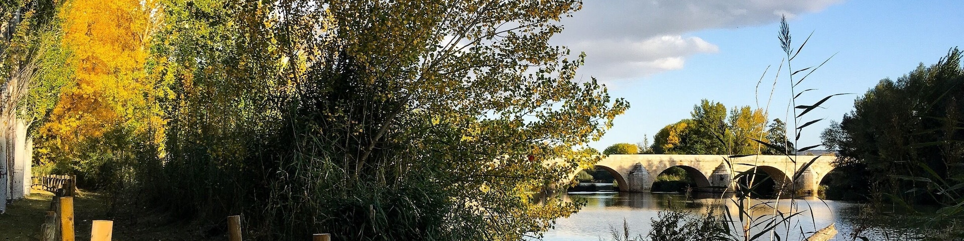 A stone bridge over a calm river, surrounded by autumn foliage and a wooden fence.