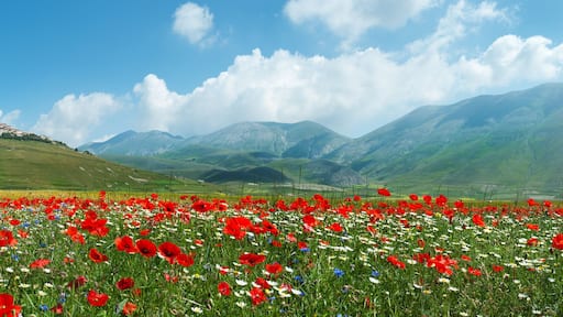 Castelluccio