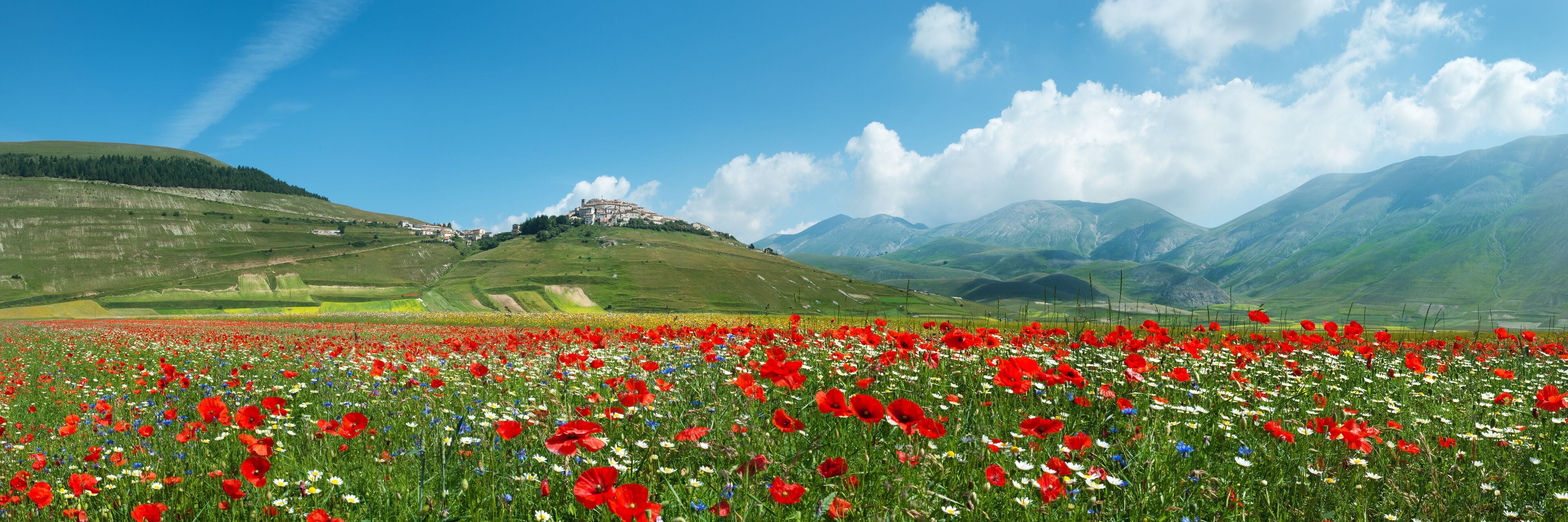 A field of red poppies, a hilltop village, and rolling green hills under a clear sky.