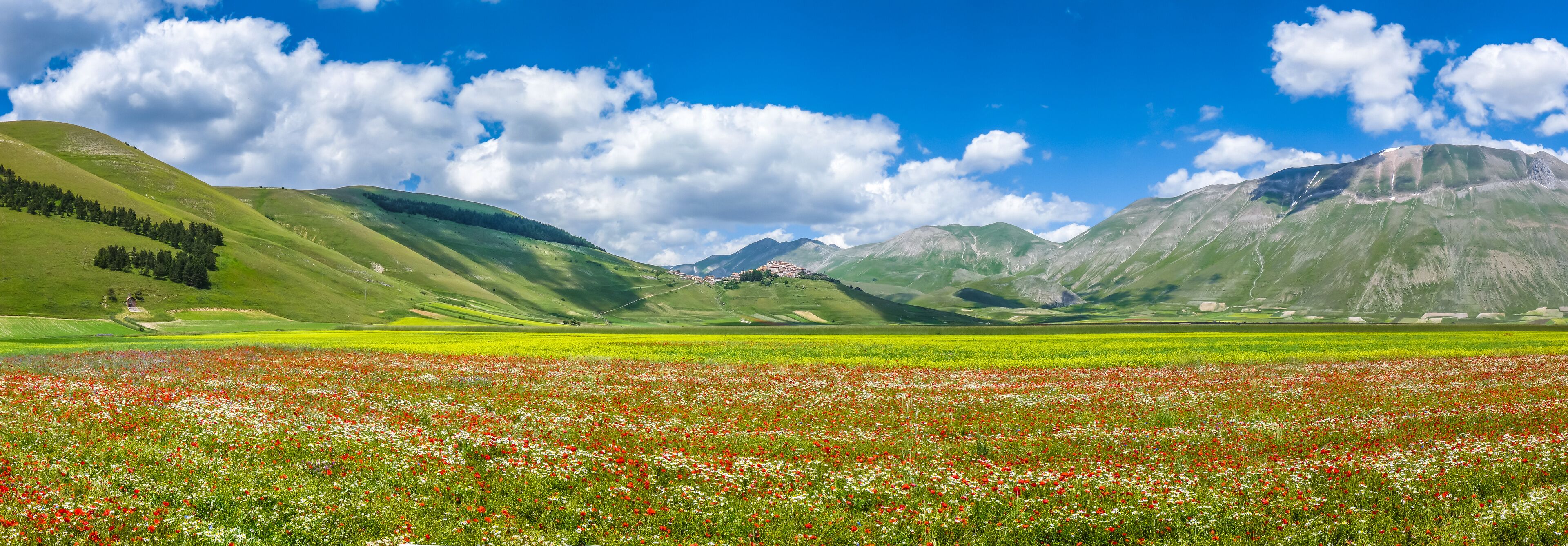 Piano Grande summer landscape, Umbria, Italy