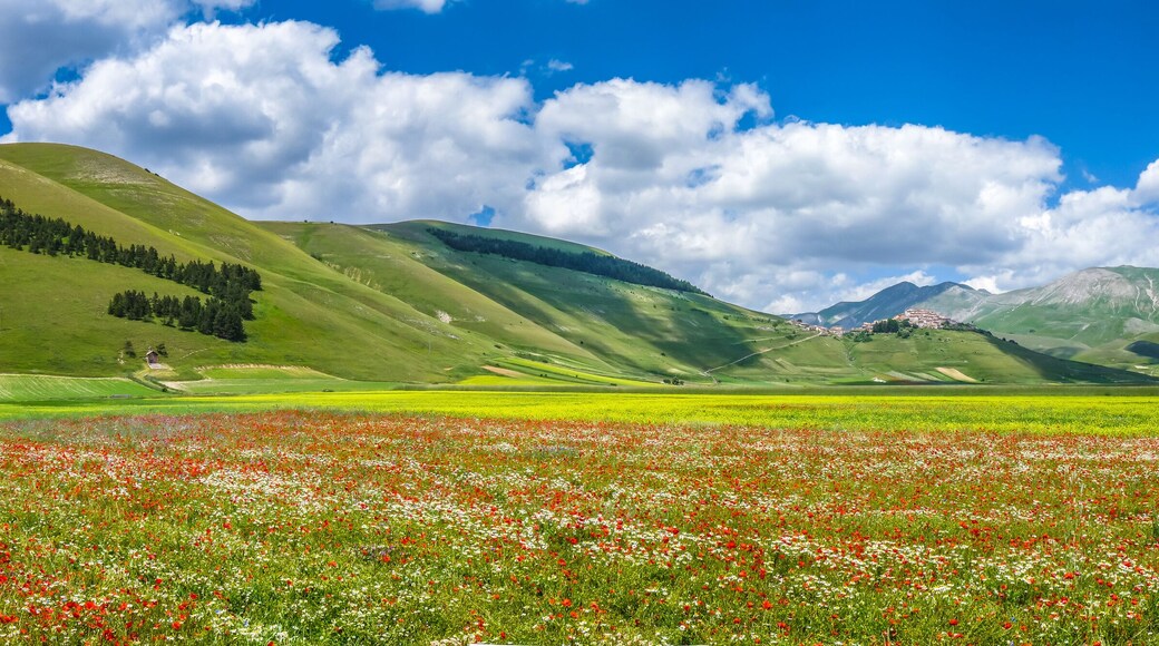 Piano Grande summer landscape, Umbria, Italy