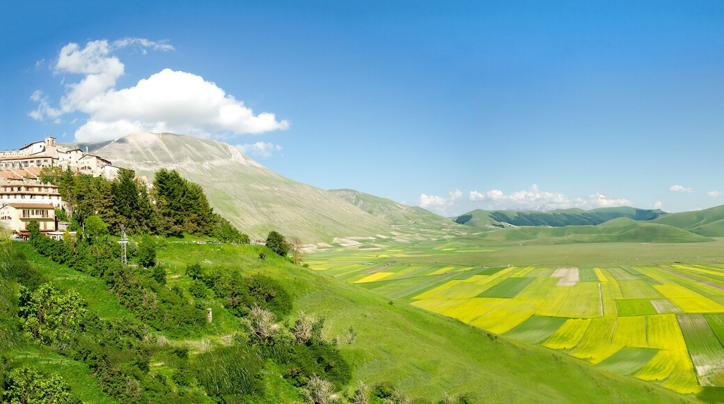 cultivated fields of Pian Prande of Castelluccio di Norcia Perugia Umbria Italy