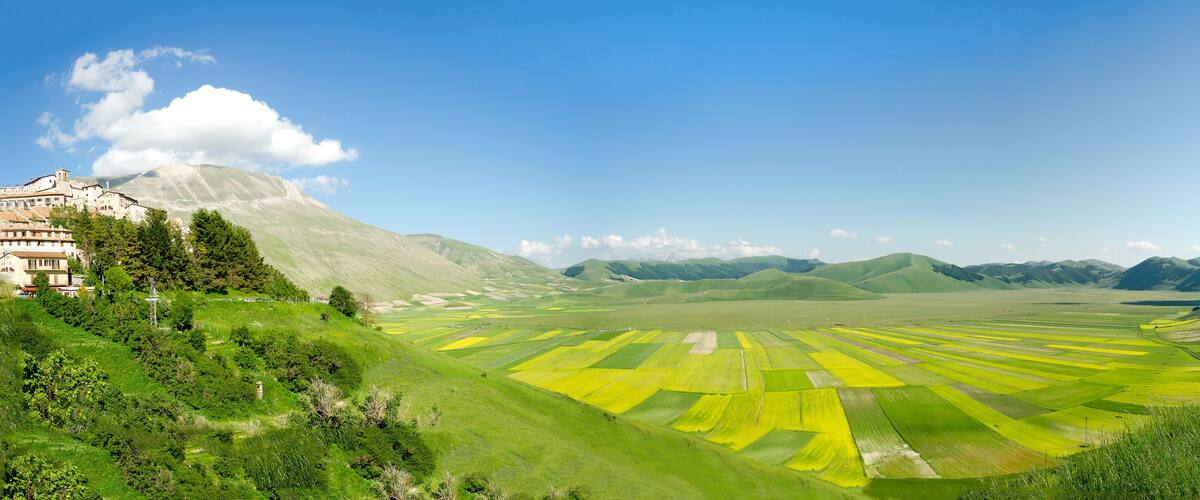 A valley with terraced fields and a mountain in the background.