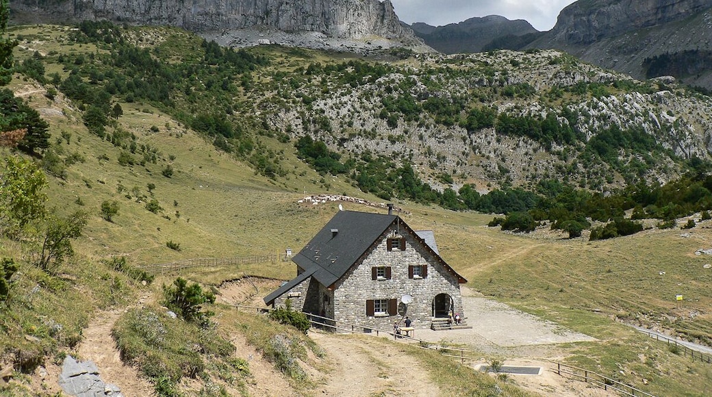 This is a photography of a Site of Community Importance in Spain with the ID: