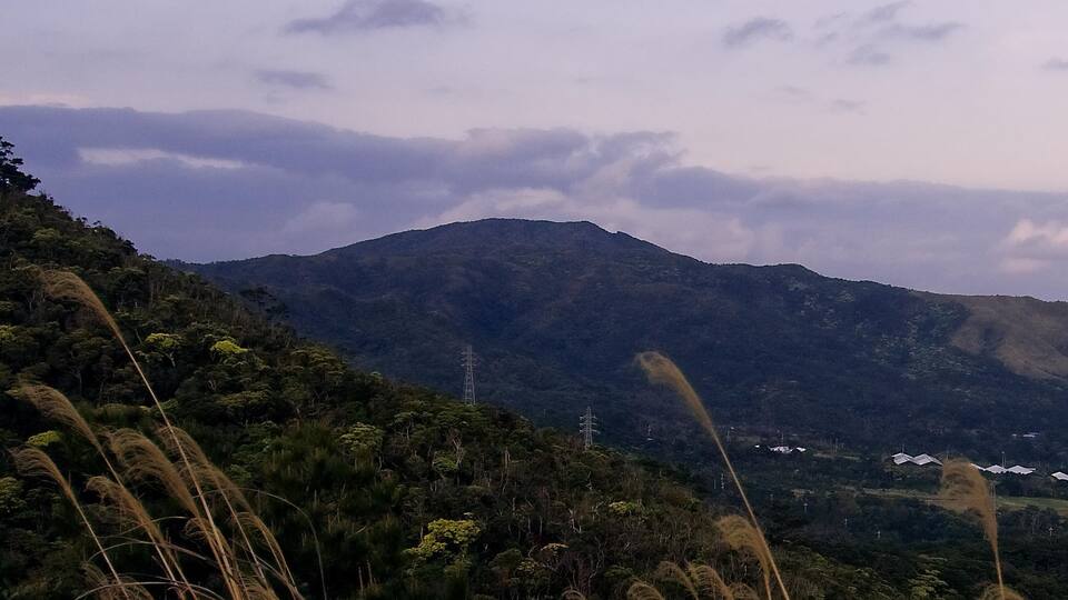 A mountainous landscape with dense vegetation and power lines.