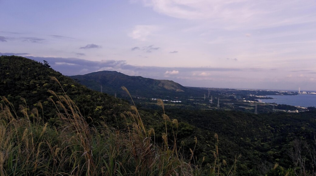 Kin by the sea, and seen the top of Mount Onna.