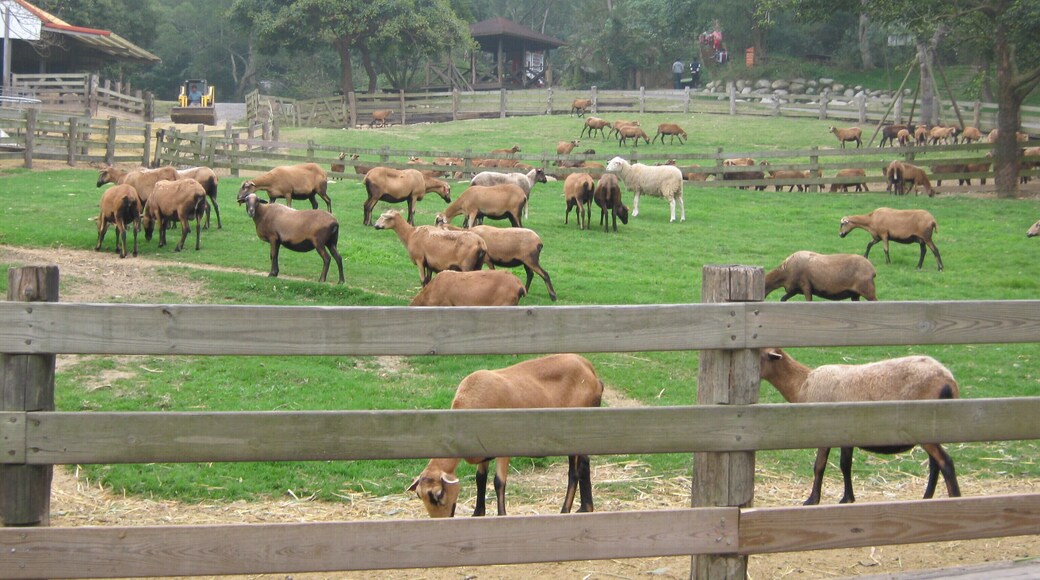 606, Taiwan, 嘉義縣中埔鄉瑞豐村