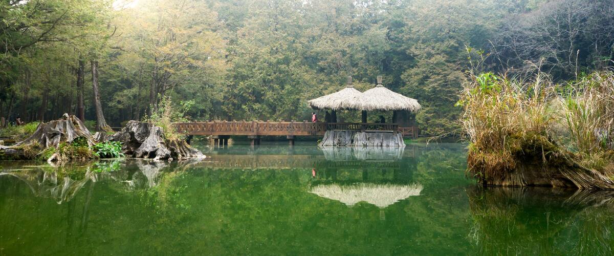 A wooden bridge over a calm pond, surrounded by dense forest and a thatched-roof structure.