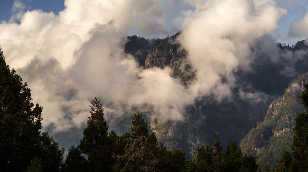 Alishan mountains in clouds