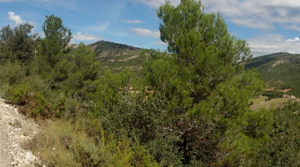 This is a a photo of a natural area in Catalonia, Spain, with id: