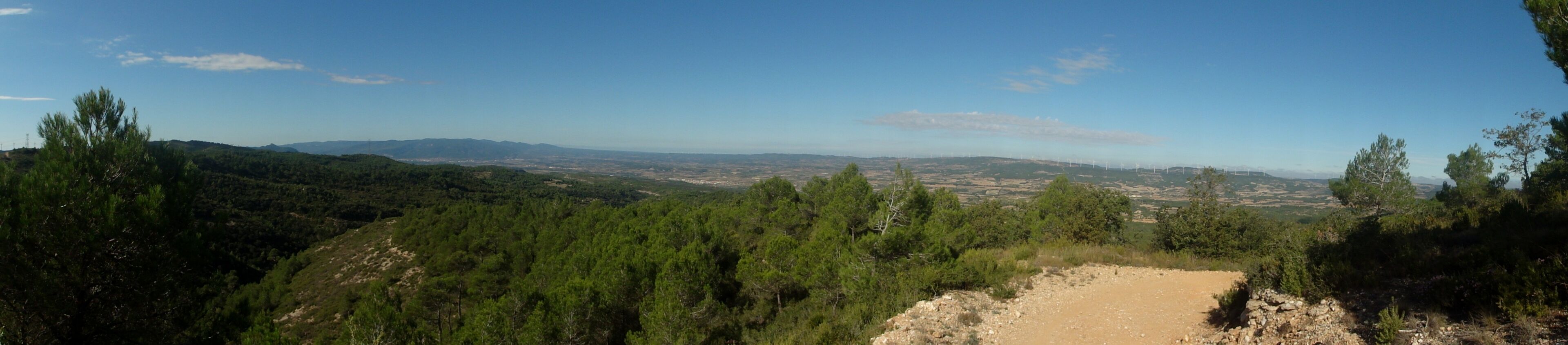 A mountainous landscape with dense pine forests and a clear sky.