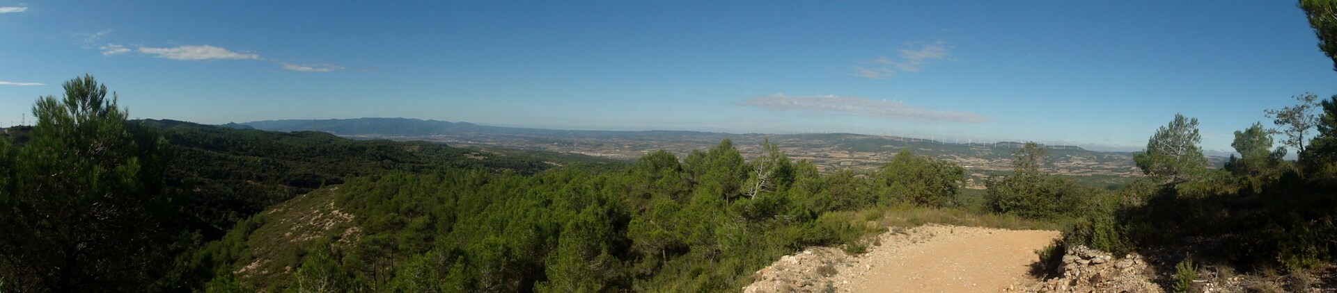 A mountainous landscape with dense pine forests and a clear sky.