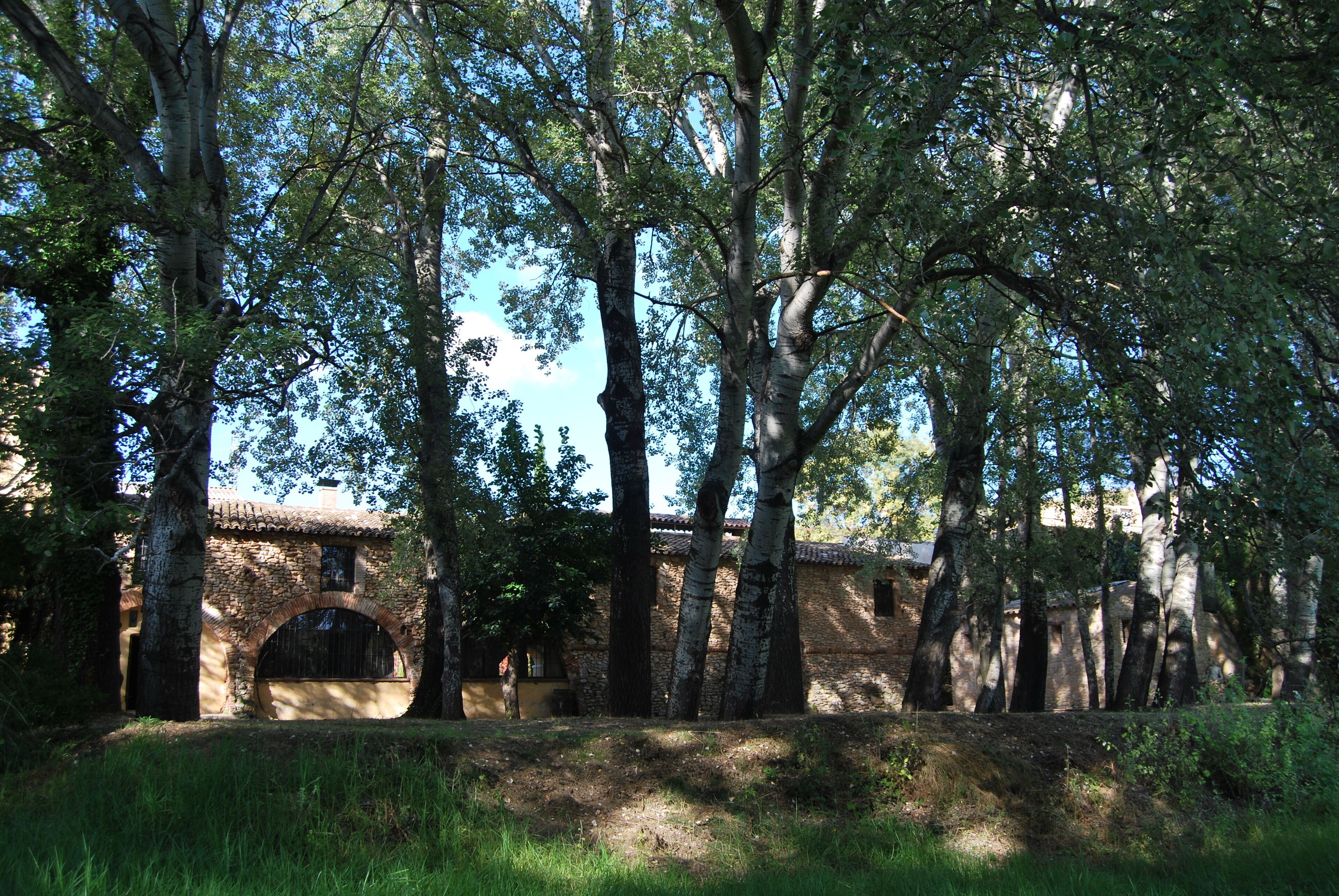 Antiga farga (Vila-rodona)