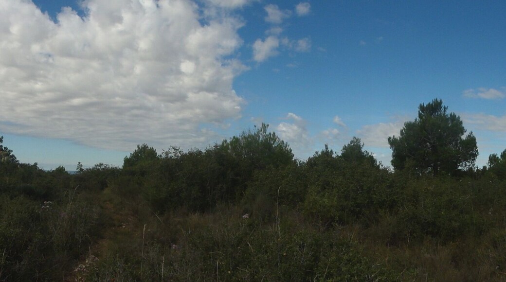 This is a a photo of a natural area in Catalonia, Spain, with id: