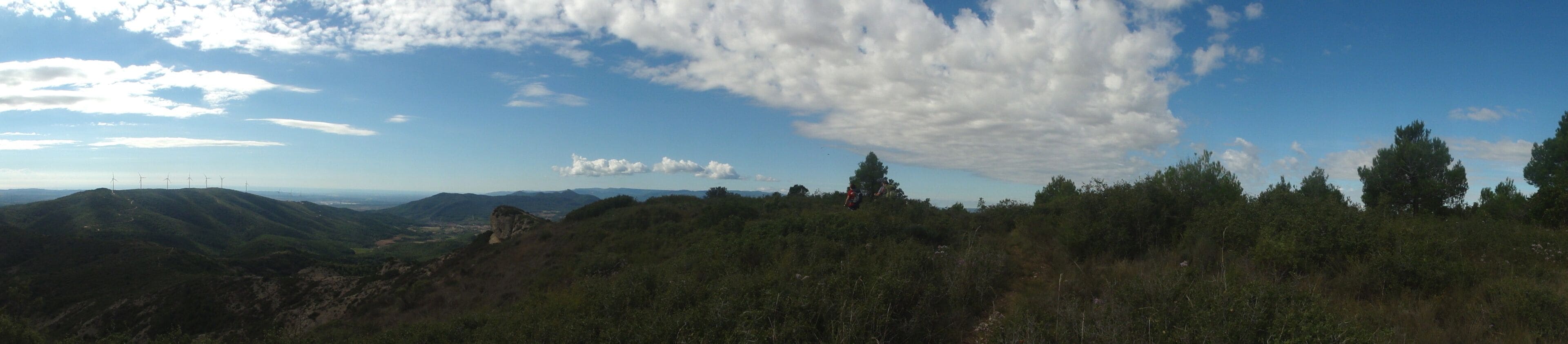 A mountainous landscape with wind turbines, dense forest, and a clear sky.