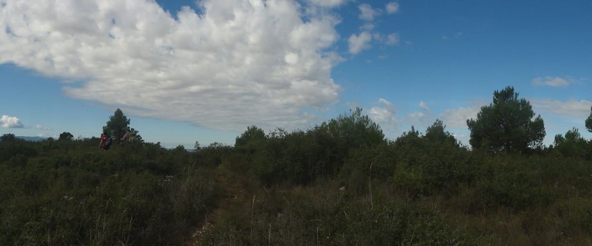 A mountainous landscape with wind turbines, dense forest, and a clear sky.