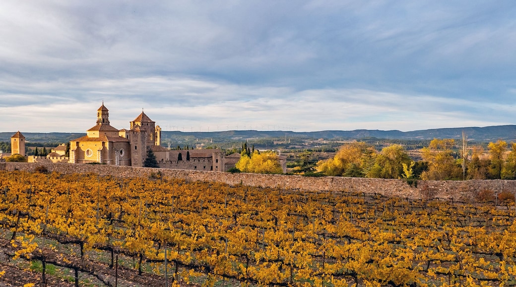 Passanant i Belltall